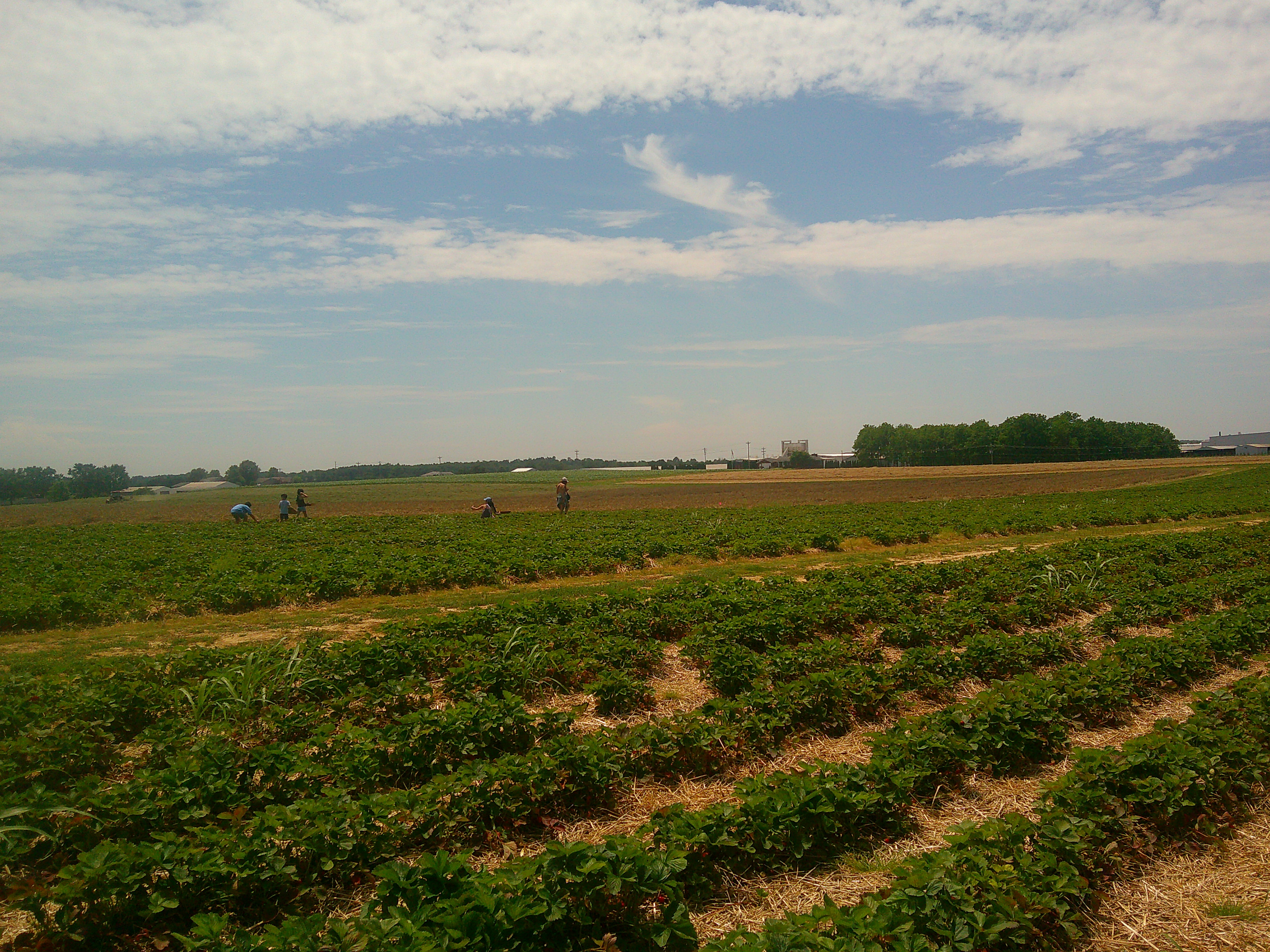 Farm irrigation